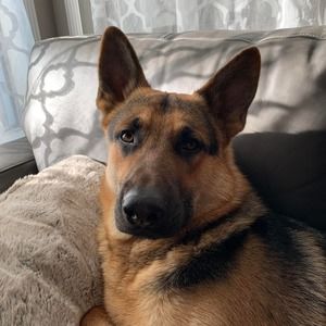 Meet your Posher, Janeth